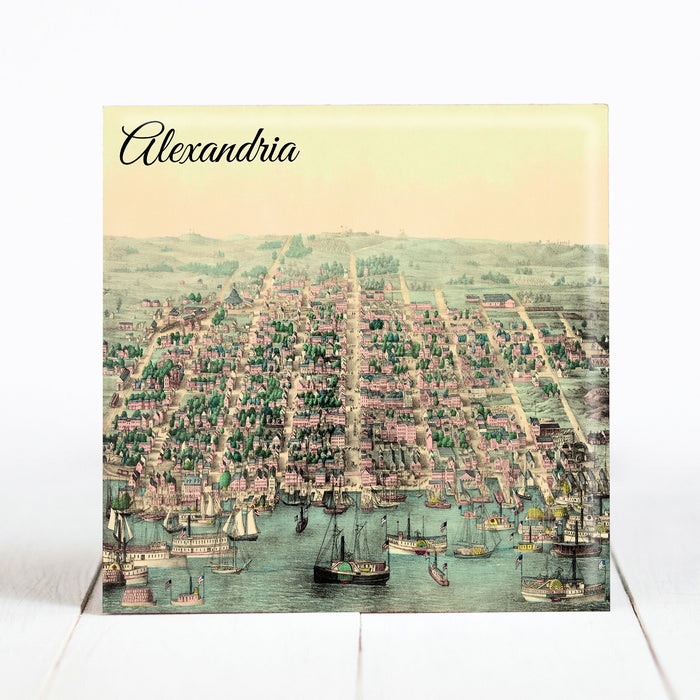 Birds Eye View of Alexandria, VA c.1863