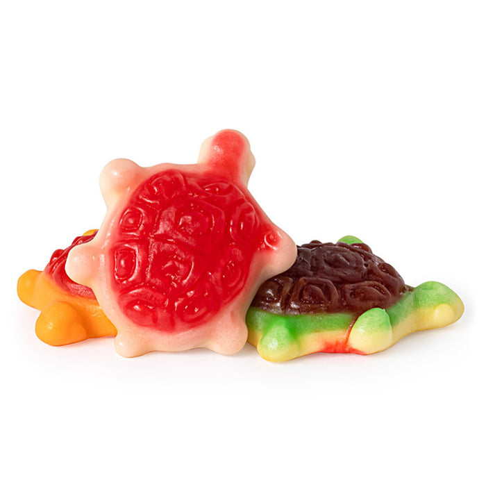 Gummy Turtles Jelly-Filled - 2.2lb