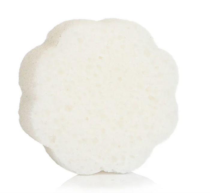 Spongellé - Daisy Spongette - Coconut Verbena