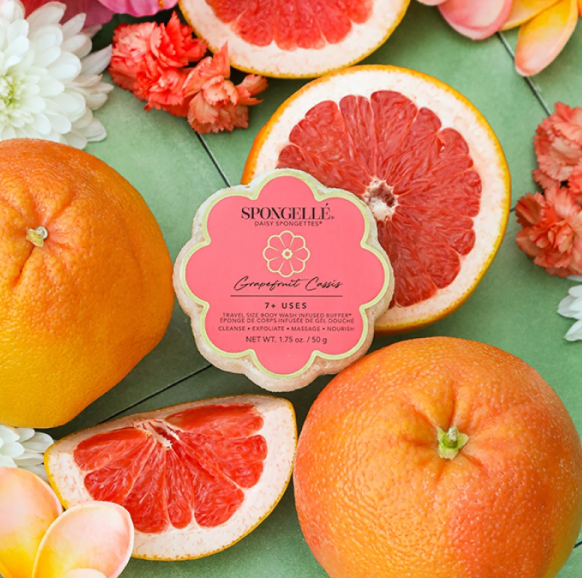 Spongellé - Daisy Spongette - Grapefruit Cassis