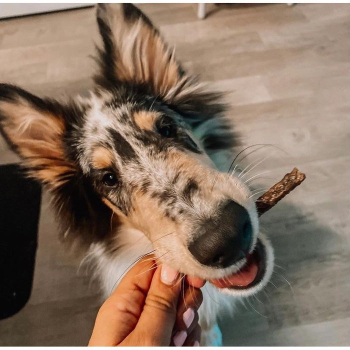 Tilted Barn - Bison Treats