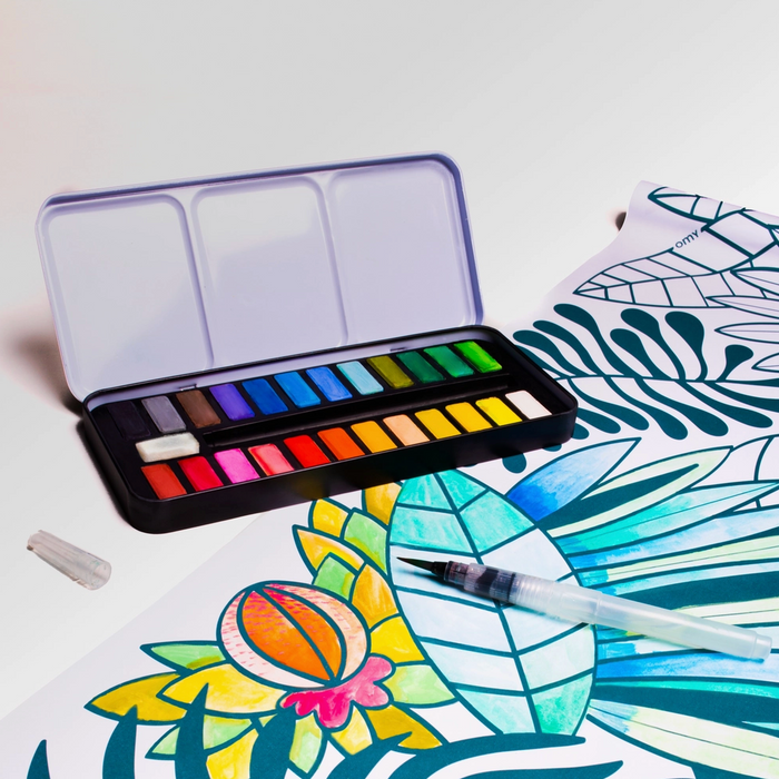 Watercolor Paint Set with Water Brush
