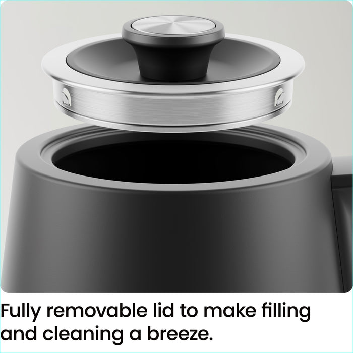 0.8L Electric Gooseneck Kettle