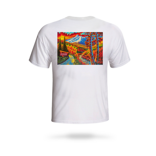 back of 2020 colorado t-shirt