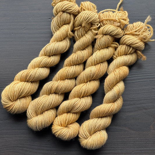 25 Gram Mini - Wild One #153 - Merino Nylon Sock