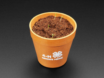 4-H Grow Your Own Clovers Kit [Discontinued] by The Pi Hut - The Pi Hut