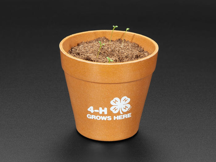4-H Grow Your Own Clovers Kit [Discontinued] by The Pi Hut - The Pi Hut