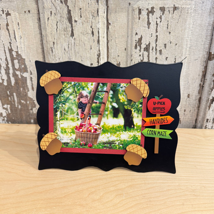 Acorn Magnets S/4
