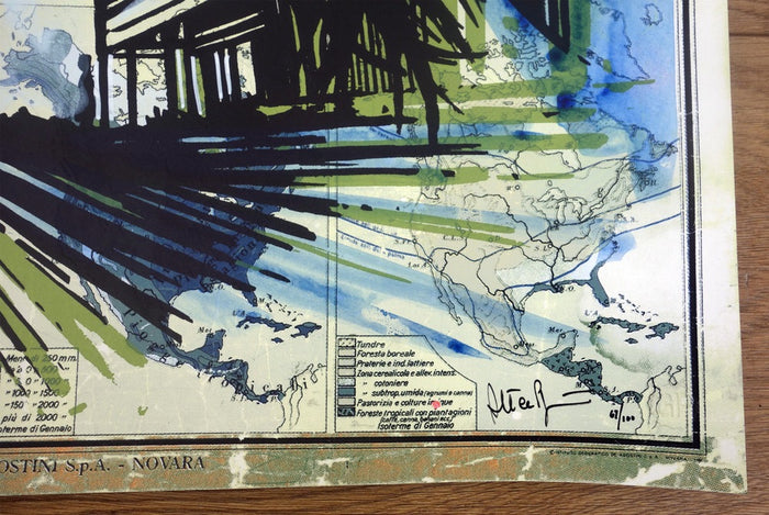 ALICE PASQUINI - Into The Great Wild Open - HAND FINISHED, ed 100