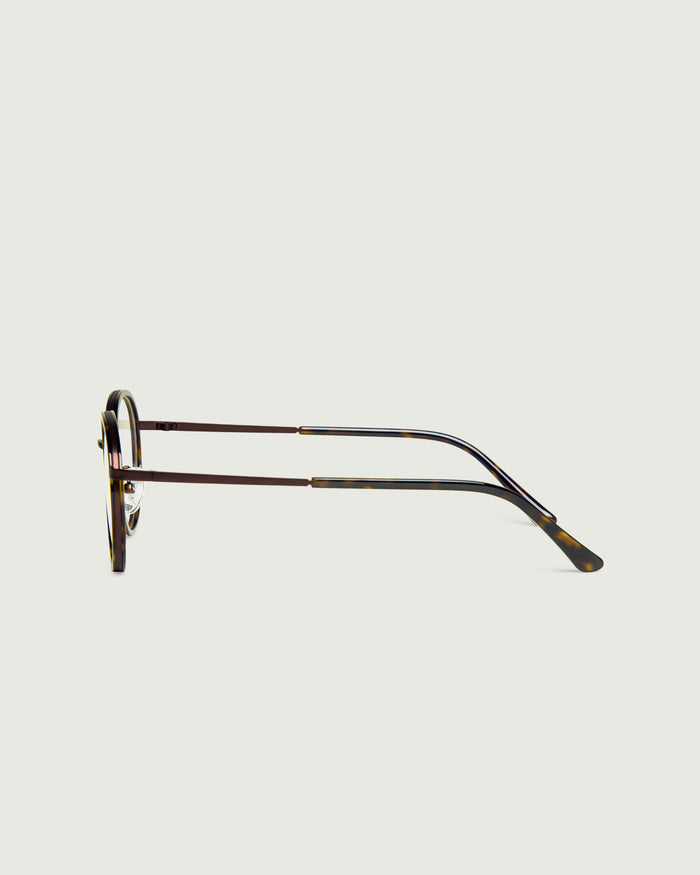 Bronze Tort::Alvaro Eyeglasses round tort metal side