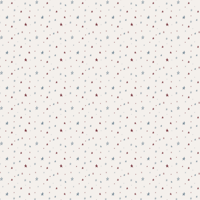 Receiving / Patriotic Star