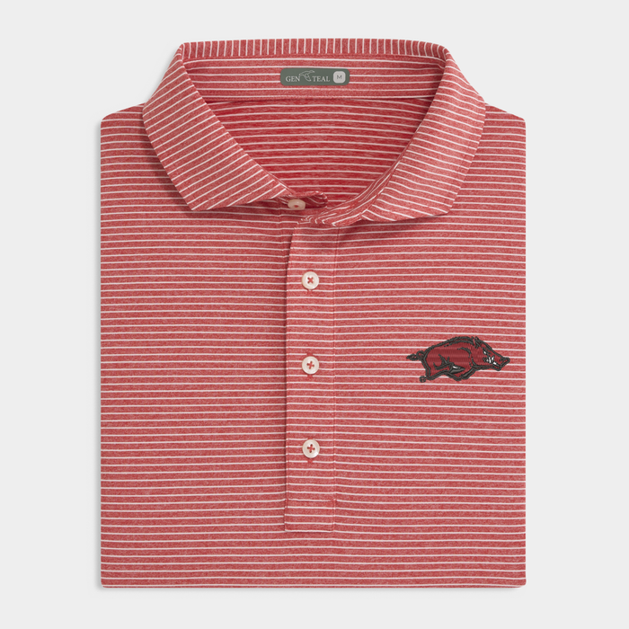 Arkansas Davis Performance Polo