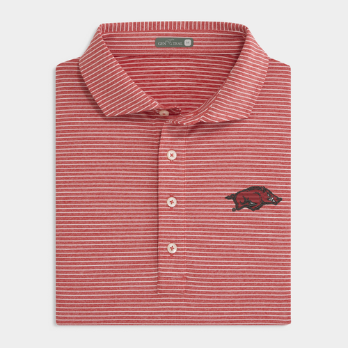 Arkansas Davis Performance Polo