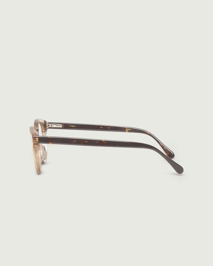 Sesame Tort::Atticus Eyeglasses round brown acetate side