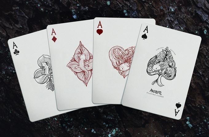 Axolotl Playing Cards by Enigma Cards Playing Cards by Enigma Cards