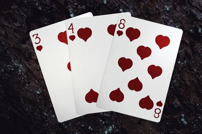 Axolotl Playing Cards by Enigma Cards Playing Cards by Enigma Cards