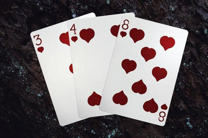 Axolotl Playing Cards by Enigma Cards Playing Cards by Enigma Cards