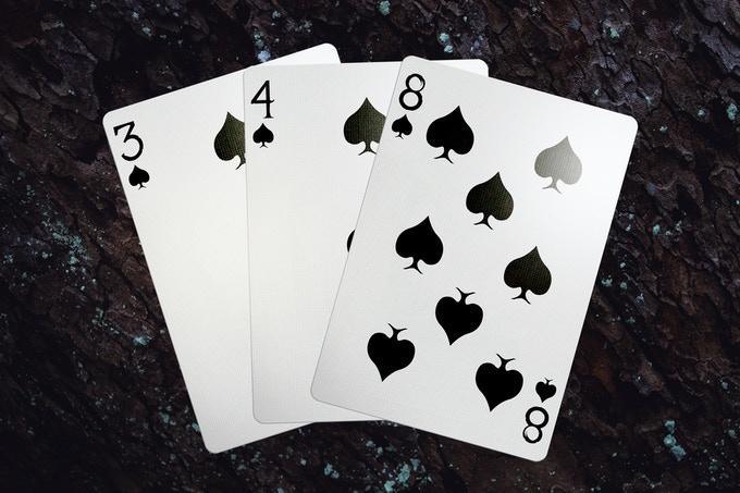 Axolotl Playing Cards by Enigma Cards Playing Cards by Enigma Cards