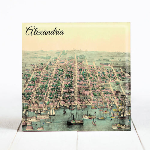 Birds Eye View of Alexandria, VA c.1863