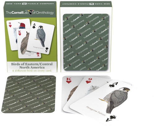 Birds of Eastern/Central North America Playing Cards Image 1