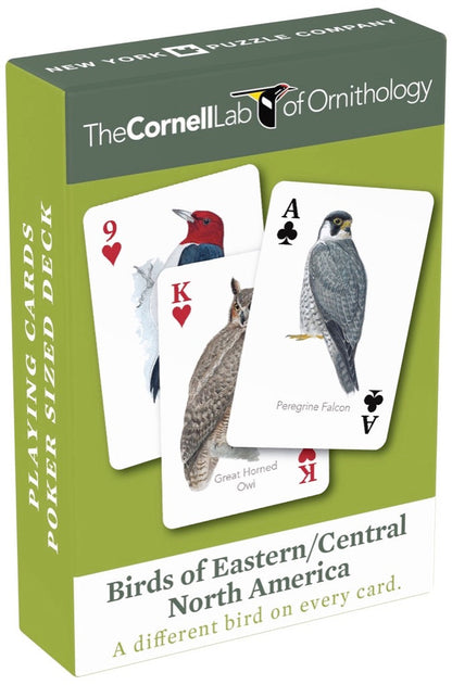 Birds of Eastern/Central North America Playing Cards Image 2