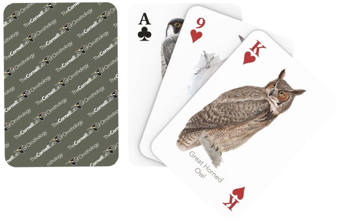 Birds of Eastern/Central North America Playing Cards Image 3