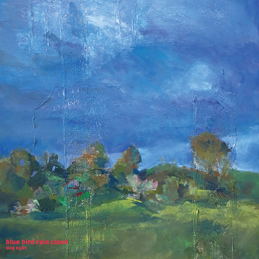 dog eyes - blue bird rain cloud Vinyl & Merch | Fat Possum Records
