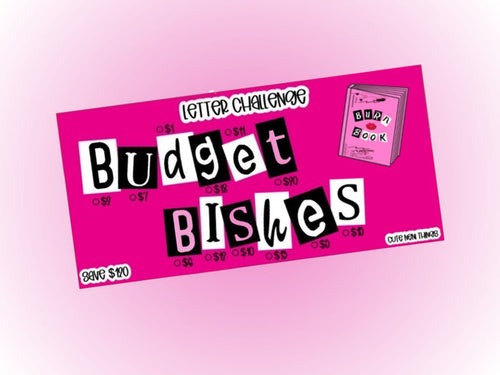 Budget Bishes | Savings Insert or Cash Envelope | 120