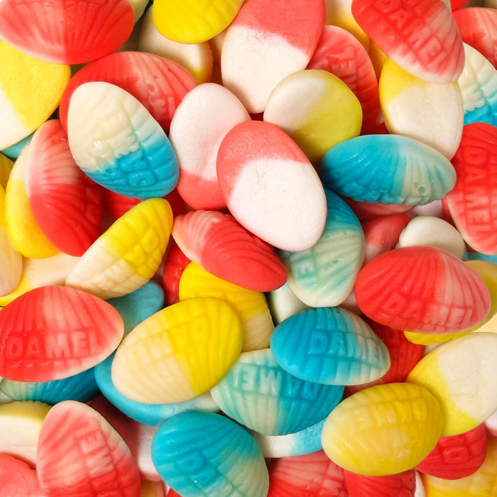Clams - 1kg