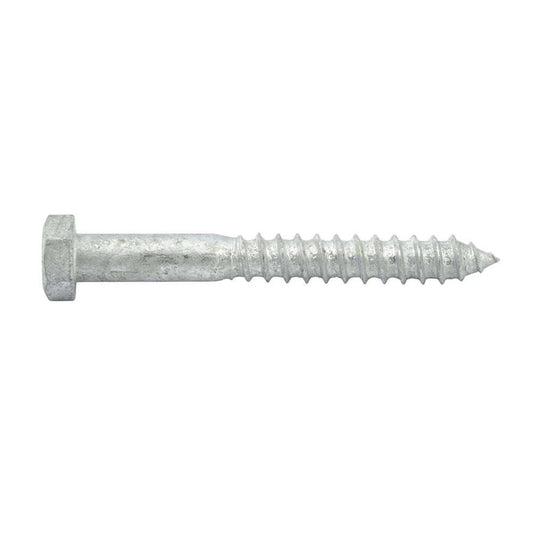 Coach Screw Galv M12 x 100