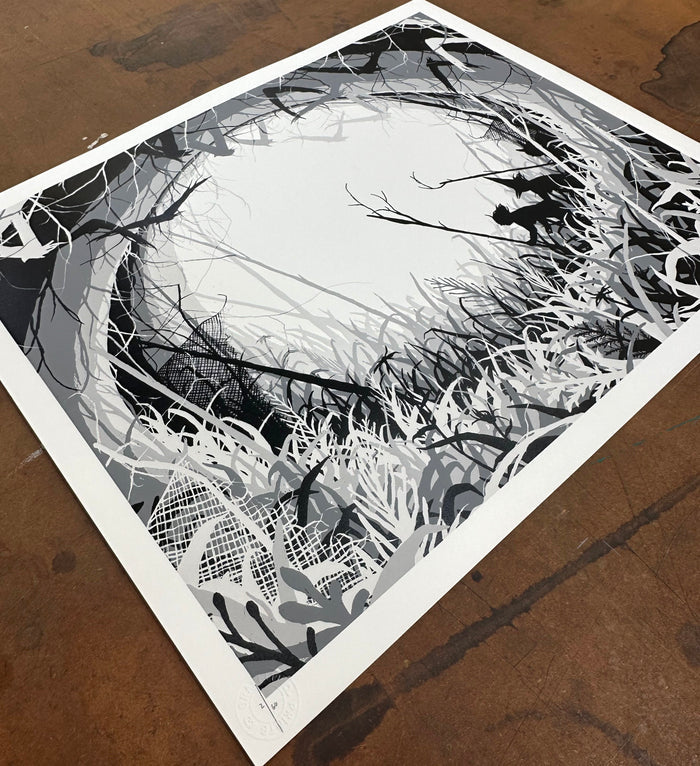 DAVID DE LA MANO - The Forbidden Garden - ed 60