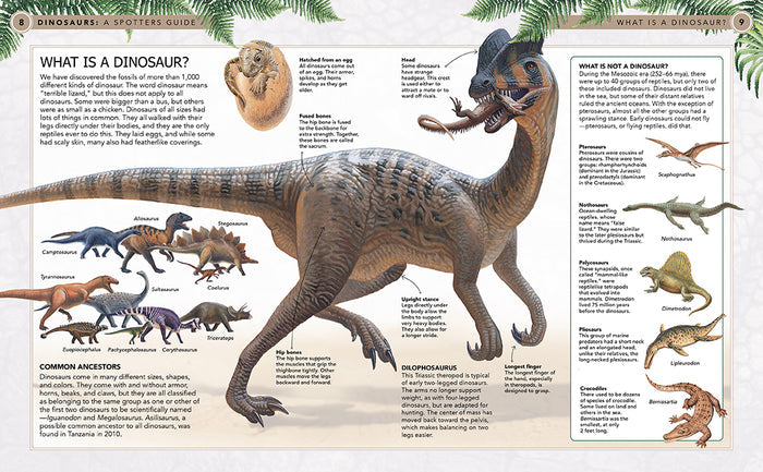 Dinosaurs