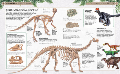 Dinosaurs