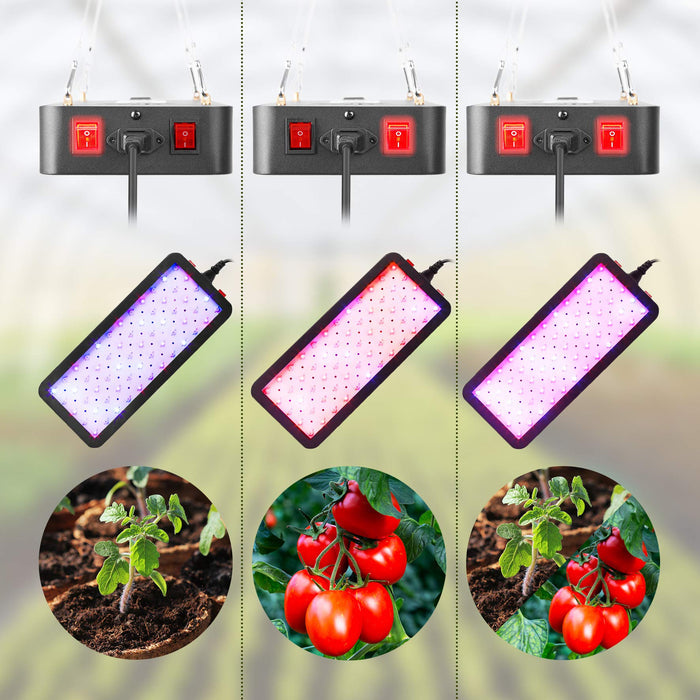 Duronic Hanging Grow Light with three adjustable spectrum modes tailored for different plant stages: a blue-white light for seedlings, a red-warm light for fruiting tomatoes, and a full-spectrum purple light for comprehensive growth.
