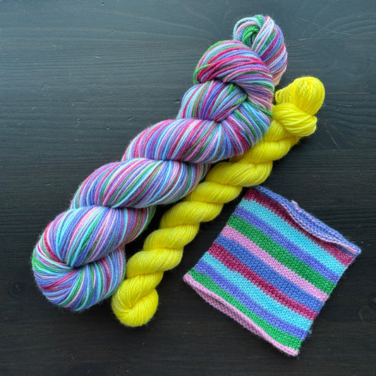 Embracing The Chaos - Skeins & Sock Sets - Self Striping Merino Nylon Sock