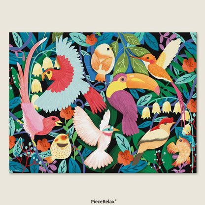 From parrots to toucans, the rainforest comes alive with color and song — discover the pulse of nature.
