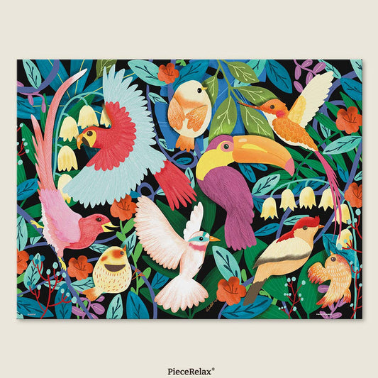 From parrots to toucans, the rainforest comes alive with color and song — discover the pulse of nature.