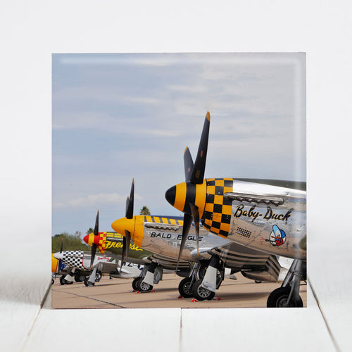 Fighter Planes from WW2 Era ready for Heritage Flight Training