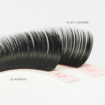 Flat Lash - Eyelash Extensions