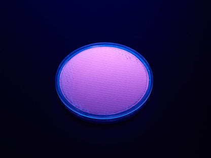 Fluorescent Pigment - Purple [Discontinued] by The Pi Hut - The Pi Hut