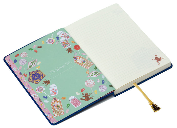 Harry Potter: Chocolate Frog Journal with Ribbon Charm