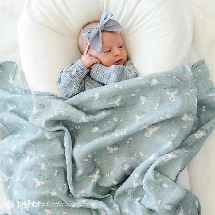 Hedwig / Swaddle