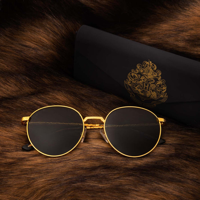 harry potter x diff eyewear hermione granger sunglasses with harry potter case on lions mane rug