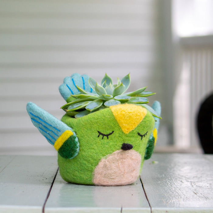 Hummingbird Felt Pot