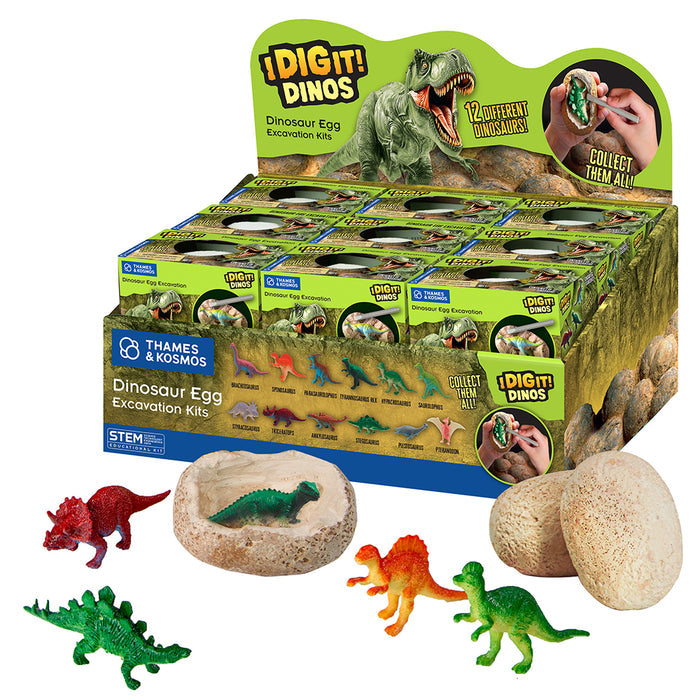 I Dig It! Dinos - Dino Egg (Giftbox, in 18-pc Display) STEM Thames & Kosmos