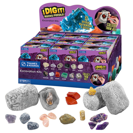 I Dig It! Rocks & Fossils - Mini Excavation (Giftbox, in 18-pc Display) STEM Thames & Kosmos