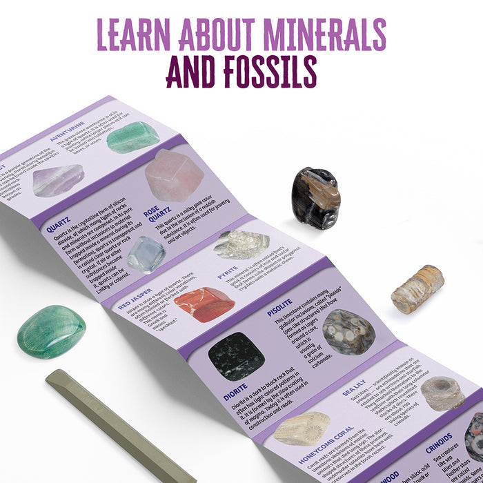 I Dig It! Rocks & Fossils - Mini Excavation (Giftbox, in 18-pc Display) STEM Thames & Kosmos
