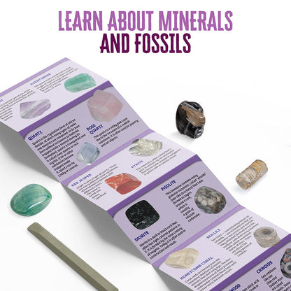 I Dig It! Rocks & Fossils - Mini Excavation (Giftbox, in 18-pc Display) STEM Thames & Kosmos