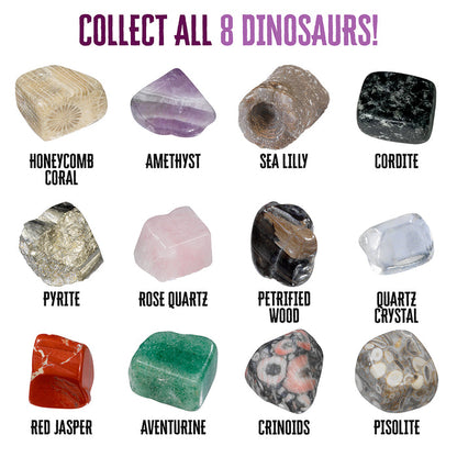 I Dig It! Rocks & Fossils - Mini Excavation (Giftbox, in 18-pc Display) STEM Thames & Kosmos