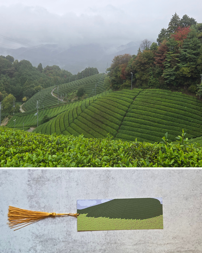 Japan Bookmark - Tea Fields